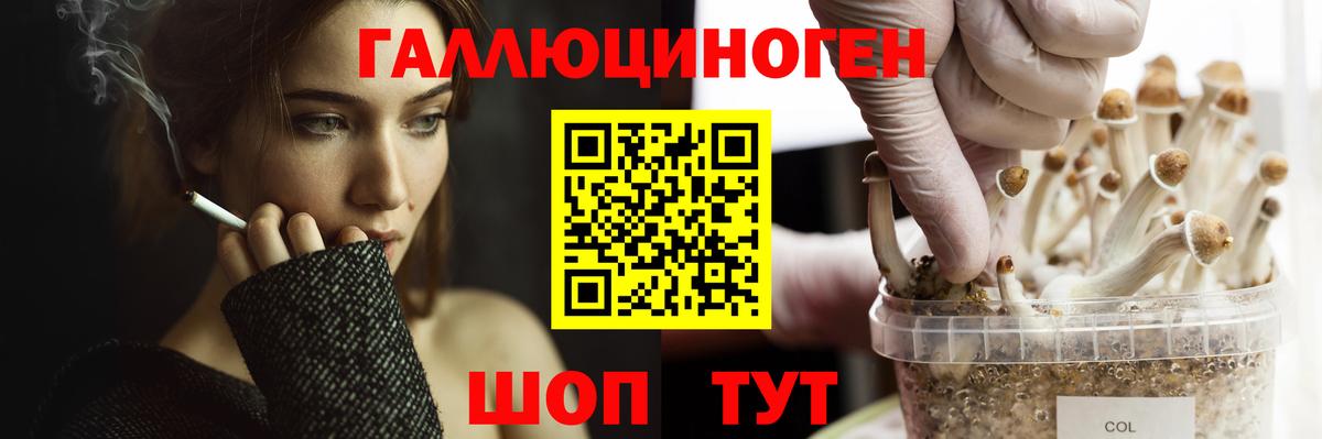Псилоцибиновые грибы мухоморы  Вход с VPN  Майкоп 